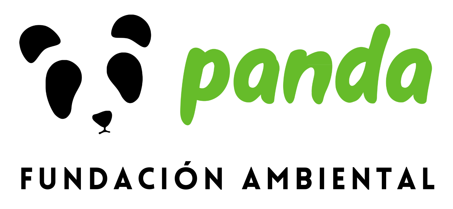 Fundación Ambiental Panda, Educación Ambiental desde 1992
